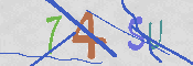 キャプチャ画像