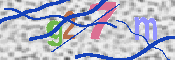 キャプチャ画像