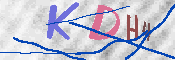 キャプチャ画像
