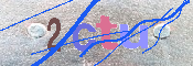 キャプチャ画像