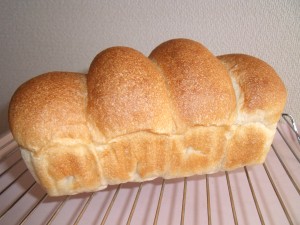 H25.10.11  ぶどう酵母パン