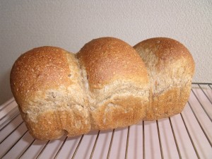 H25.10.11  酒種パン