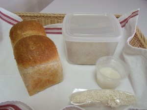 H26.5.21 白ゴマと全粒粉のパン 1