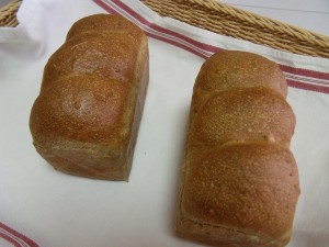 H27.9.27 マルチシリアルミニ食パン 1