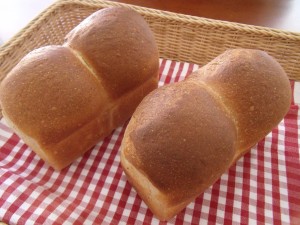 H30.1.20 中種食パン 1