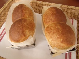 H30.1.23 中種食パン 1